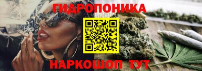 хмурый Новокубанск