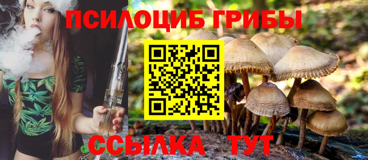 Галлюциногенные грибы Magic Shrooms Строитель