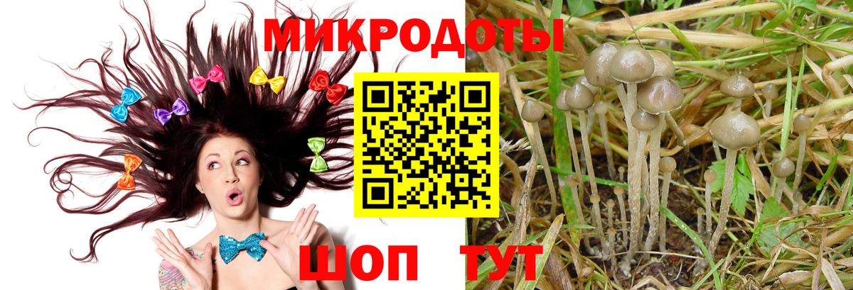 Галлюциногенные грибы мицелий  Вход с VPN  Строитель 